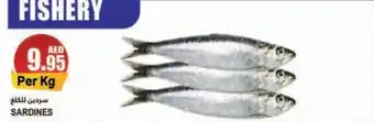 Almaya supermarket SARDINES offer