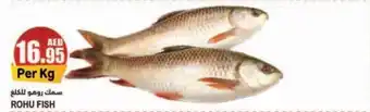 Almaya supermarket ROHU FISH offer