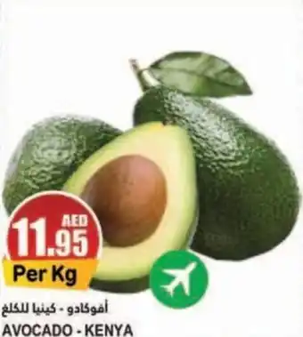 Almaya supermarket AVOCADO offer