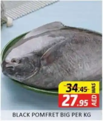 Al Madina BLACK POMFRET BIG PER KG offer