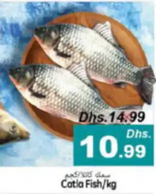 Pasons Catla Fish kg offer