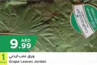 Istanbul Supermarket Grape Leaves offer