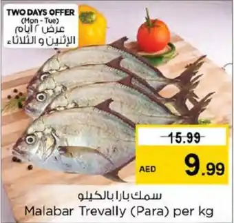 Nesto Malabar Trevally Para per kg offer