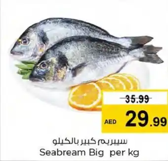 Nesto Seabream Big per kg offer