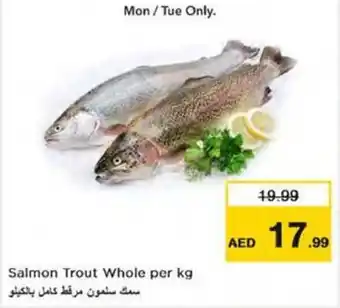 Nesto Salmon Trout Whole per kg offer