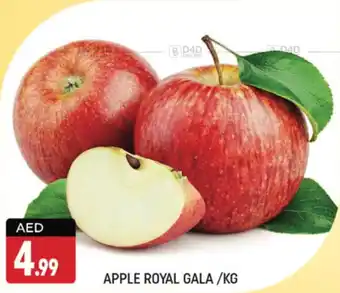 Shaklan APPLE ROYAL GALA KG offer