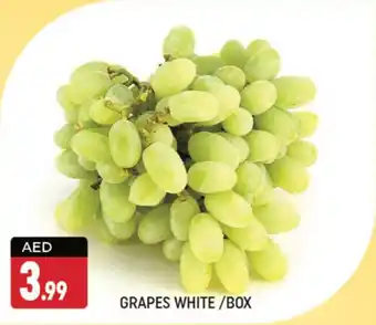 Shaklan GRAPES WHITE BOX offer