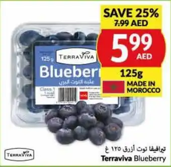 Viva Blueberry 125g offer