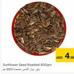 Nesto Sunflower Seed Roasted 500gm offer