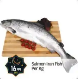 Bigmart Salmon Iran Fish Per Kg offer