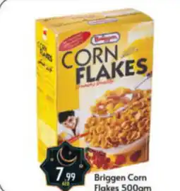 Bigmart Briggen Corn Flakes 500gm offer