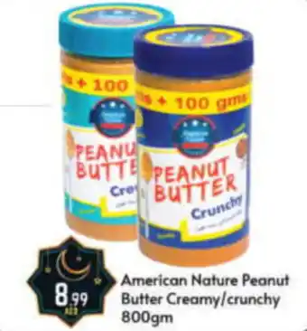 Bigmart American Nature Peanut Butter Creamy/crunchy 800gm offer