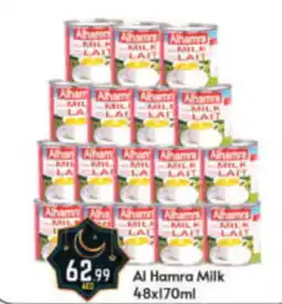 Bigmart Al Hamra Milk 48x170ml offer