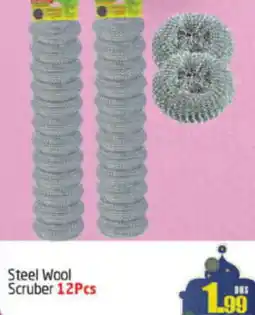 Steel Wool Scruber 12Pcs