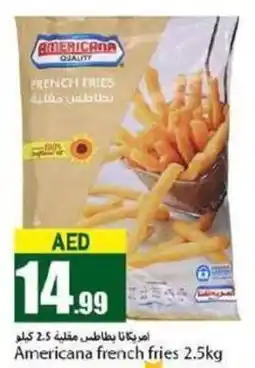 Rawabi Market Americana french fries 2.5kg offer