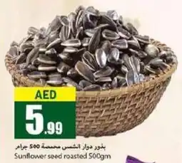 Sunflower seed roasted 500gm