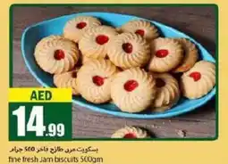 Rawabi Market Fine Fresh Jam Biscuits 500gm offer
