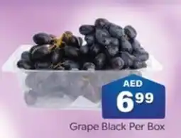City Retail Supermarket Grape Black Per Box offer