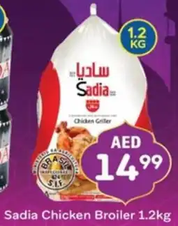 City Retail Supermarket Sadia Chicken Broiler 1.2kg offer