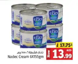 Kenz Hypermarket Nadec Cream 6X155gm offer