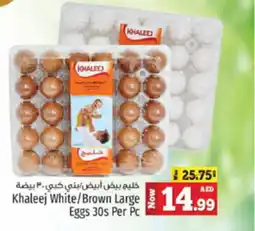 Kenz Hypermarket Khaleej White Brown Large Eggs 30s Per Pc offer