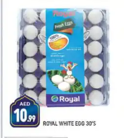 Shaklan ROYAL WHITE EGG 30'S offer