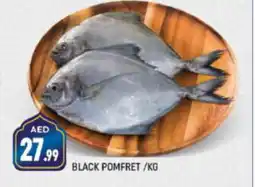 Shaklan BLACK POMFRET /KG offer