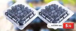 Grand Hyper Market BLUE BERRY / BOX offer