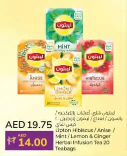 Lulu Hypermarket Lipton Hibiscus/Anise / Mint/Lemon & Ginger Herbal Infusion Tea 20 Teabags offer