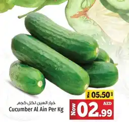 Kenz Hypermarket Cucumber Al Ain Per Kg offer