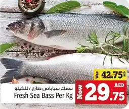 Kenz Hypermarket Fresh Sea Bass Per Kg offer