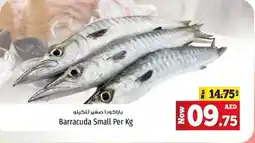 Kenz Hypermarket Barracuda Small Per Kg offer
