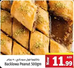 Kenz Hypermarket Backlowa Peanut 500gm offer