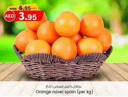 KM Trading Orange navel spain per kg offer
