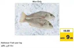 Nesto Nehroor Fish per kg offer