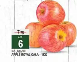 Safari Hypermarket APPLE ROYAL GALA 1KG offer