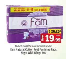 Kenz Hypermarket Fam Natural Cotton Feel Feminine Pads Night With Wings 50s offer