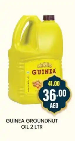 Al Adil GUINEA GROUNDNUT OIL 2 LTR offer
