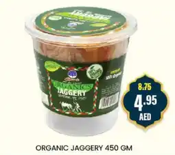 Al Adil ORGANIC JAGGERY 450 GM offer