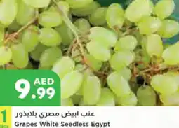Istanbul Supermarket Grapes White Seedless 1box offer
