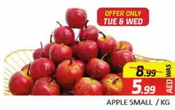 Al Madina Hypermarket APPLE SMALL KG offer