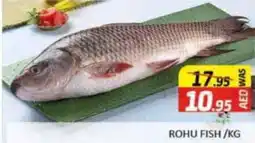 Al Madina ROHU FISH KG offer