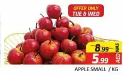 Al Madina APPLE SMALL KG offer