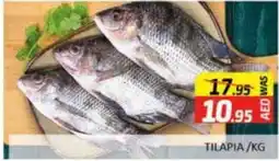 Al Madina TILAPIA KG offer