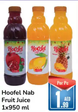 Day To Day Hoofel Nab Fruit Juice 1x950 ml offer