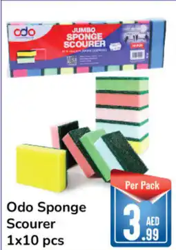 Day To Day Odo Sponge Scourer 1x10 pcs offer
