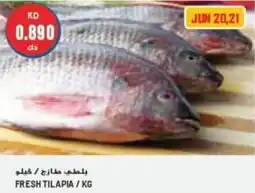 Grand Mall Sharjah FRESH TILAPIA / KG offer