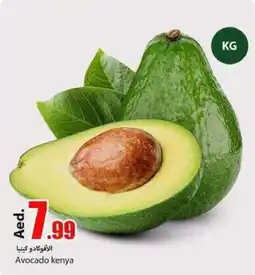 Rawabi Market Avocado KG offer