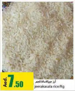 Rawabi Market jeerakasala rice Kg offer