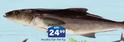 City Retail Supermarket Modha Fish Per Kg offer